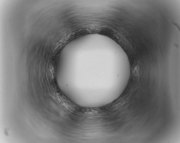 X0000102540772200808291841