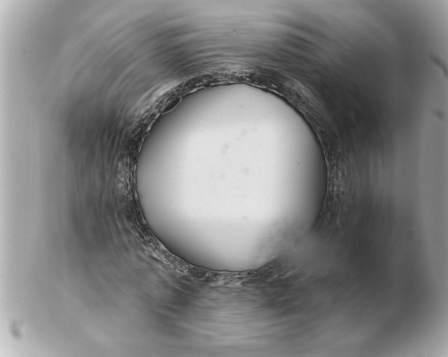 X0000102540773200808291841