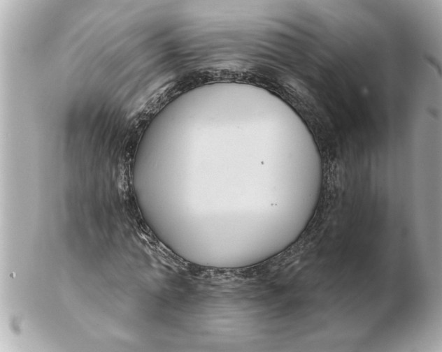 X0000102540774200808291841