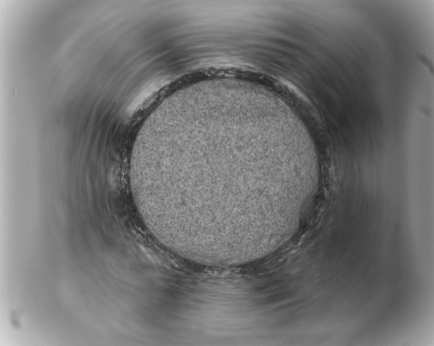 X0000102540775200808291841