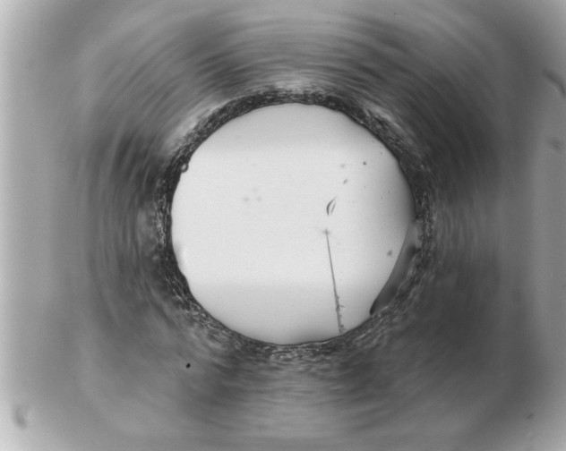 X0000102540776200808291841