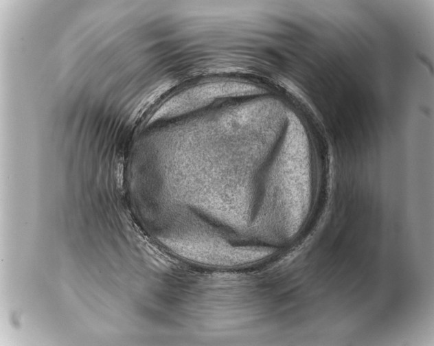 X0000102540777200808291841