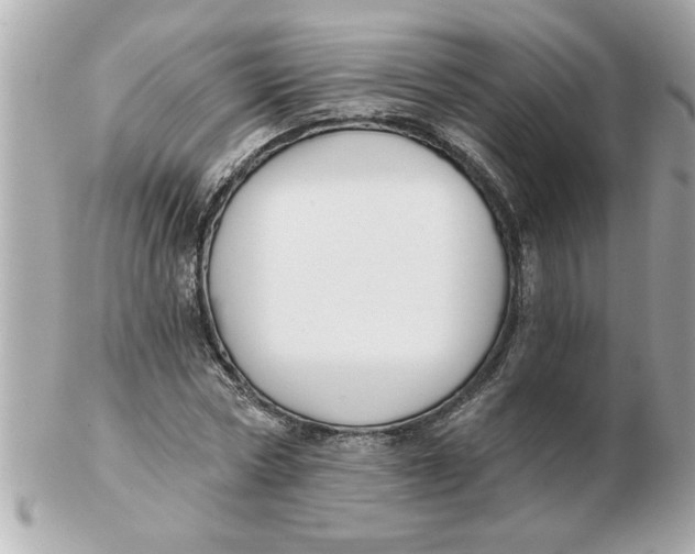 X0000102540778200808291841