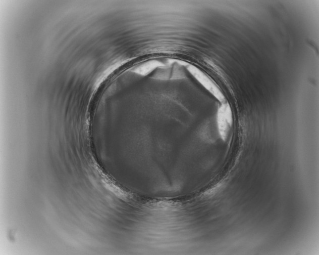 X0000102540779200808291841