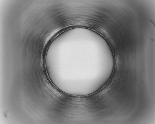 X0000102540780200808291841