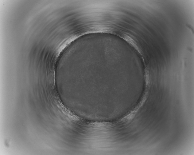 X0000102540781200808291841