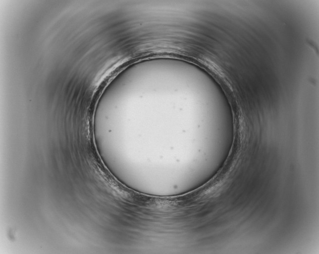 X0000102540782200808291841