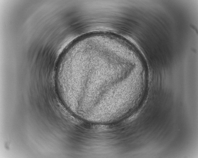 X0000102540783200808291841