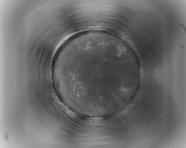 X0000102540784200808291841