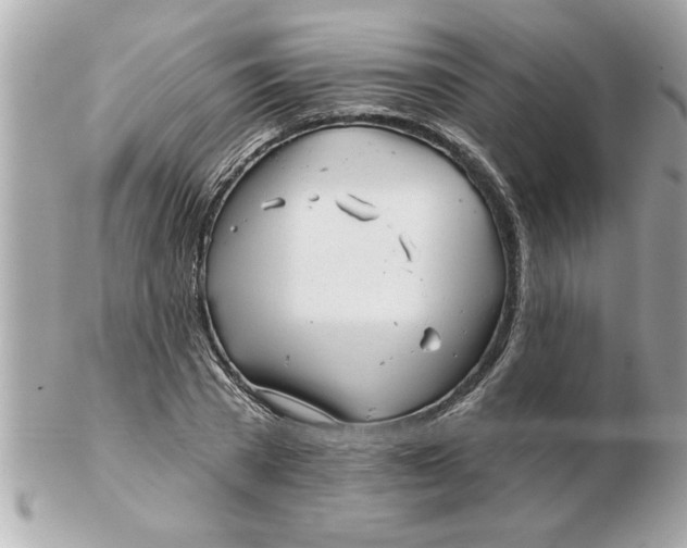 X0000102540785200808291841