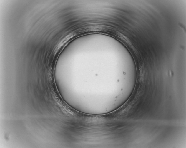 X0000102540786200808291841