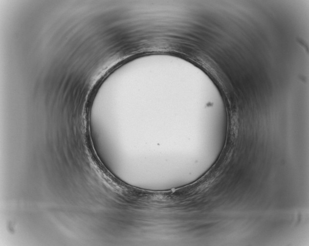 X0000102540787200808291841