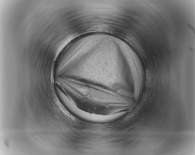 X0000102540788200808291841