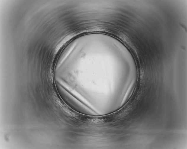 X0000102540789200808291841