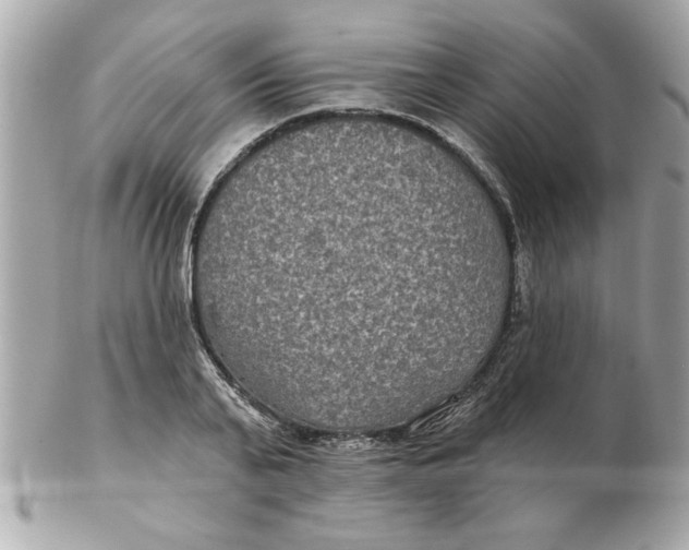 X0000102540791200808291841