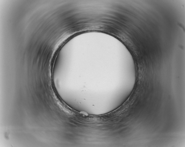 X0000102540792200808291841