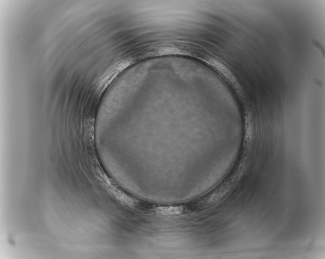 X0000102540793200808291841