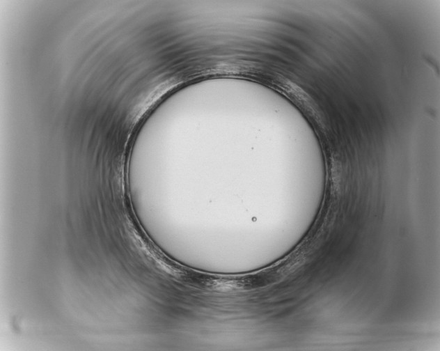 X0000102540794200808291841