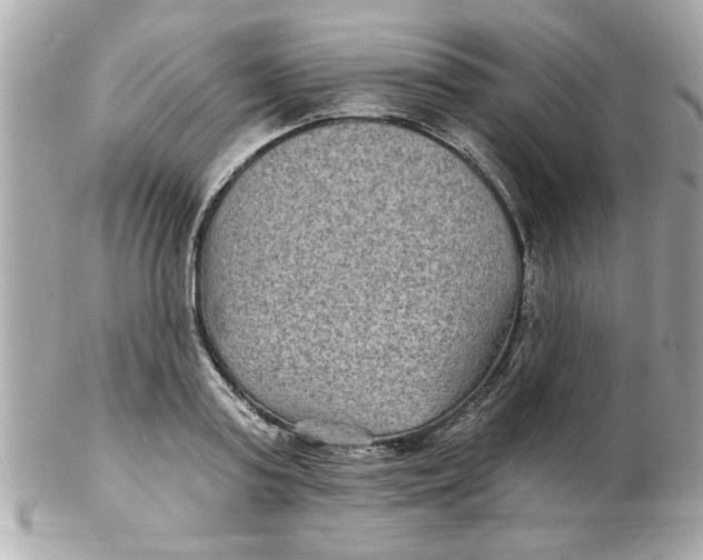 X0000102540795200808291841