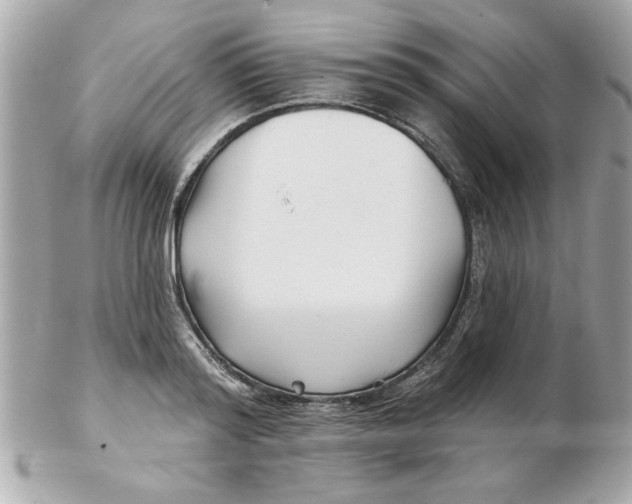 X0000102540796200808291841