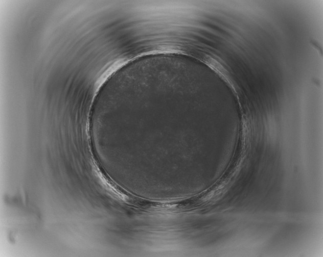 X0000102540797200808291841