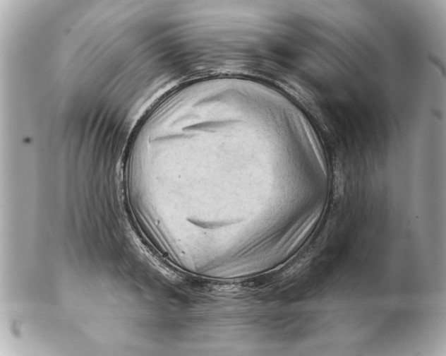 X0000102540798200808291841