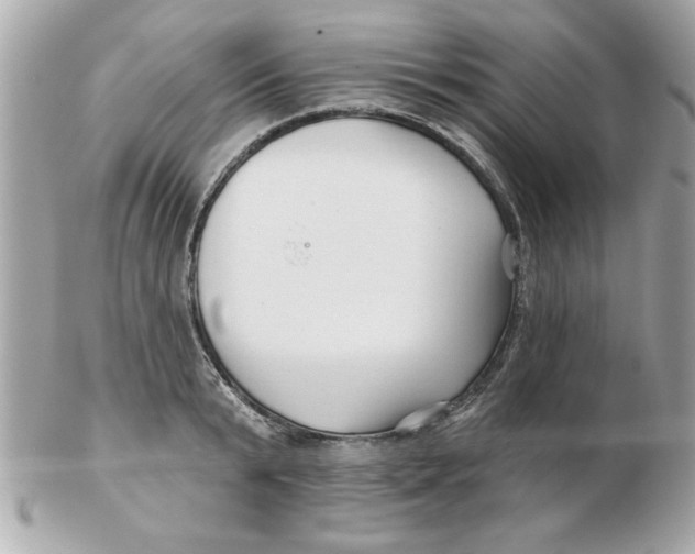 X0000102540799200808291841