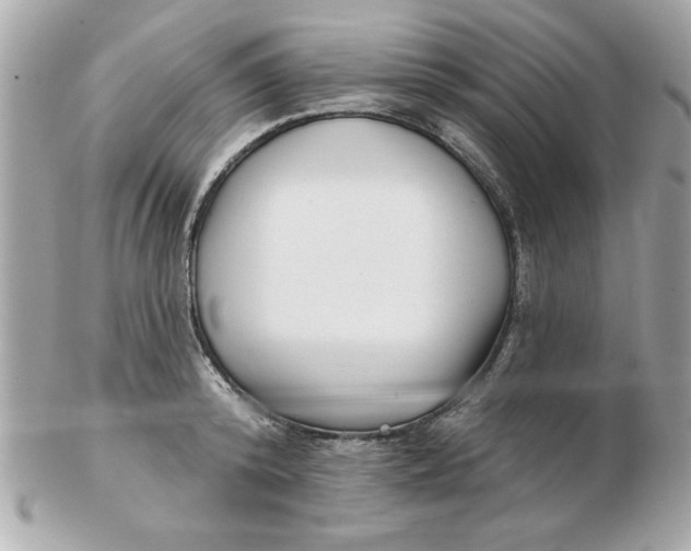 X0000102540800200808291841