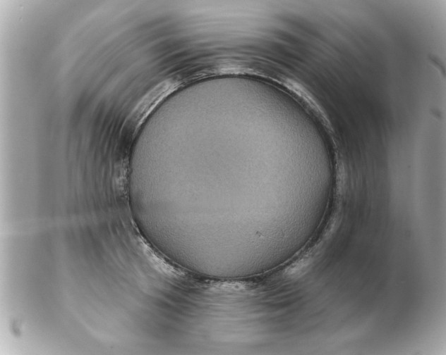 X0000102540801200808291841