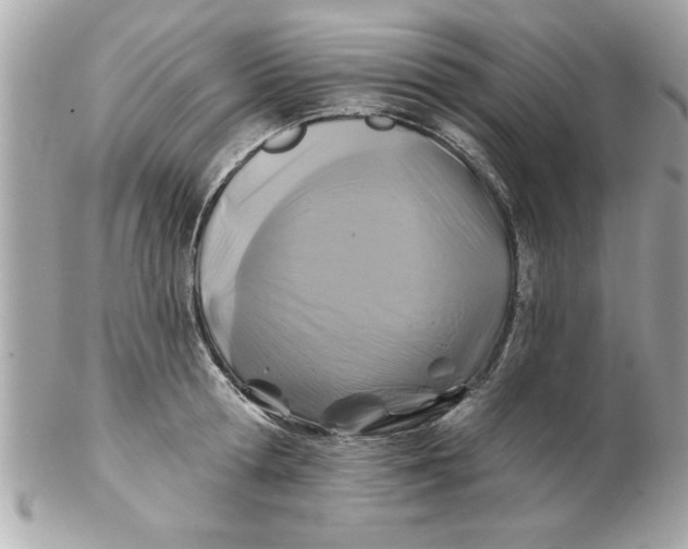 X0000102540802200808291841