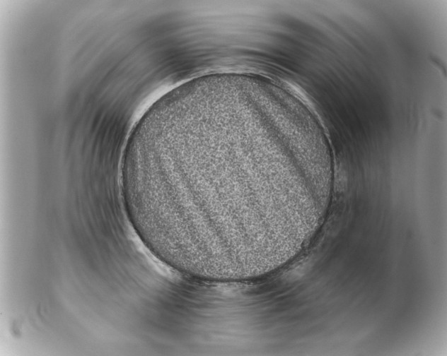 X0000102540803200808291841