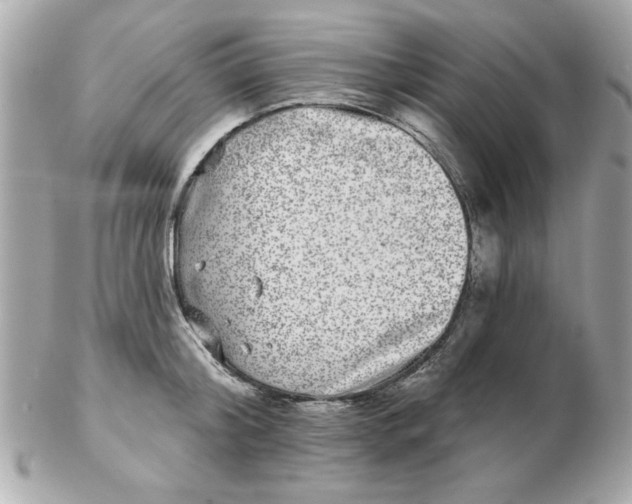 X0000102540804200808291841