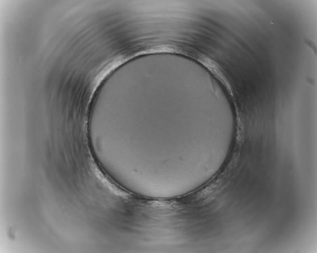 X0000102540805200808291841