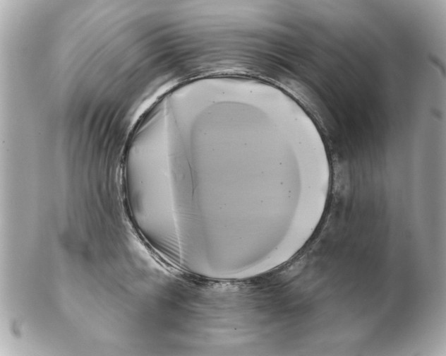 X0000102540806200808291841