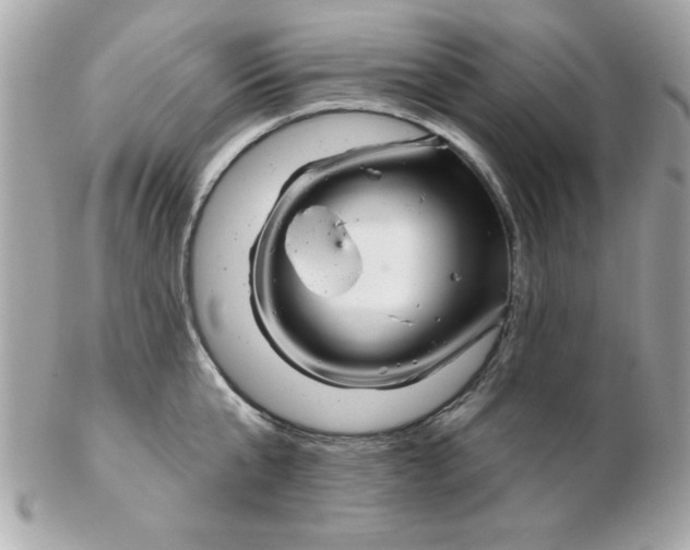 X0000102540807200808291841