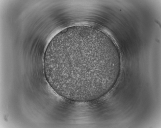 X0000102540808200808291841