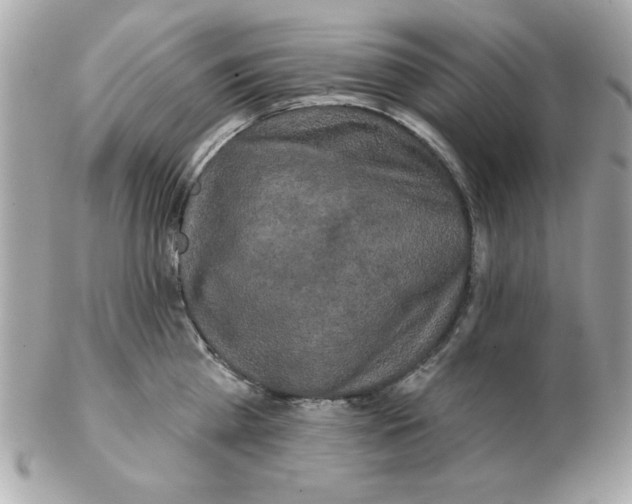 X0000102540809200808291841