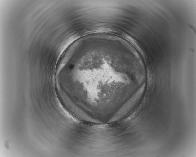 X0000102540810200808291840