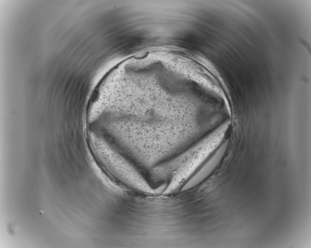 X0000102540811200808291840