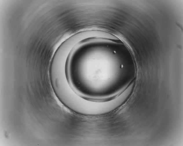 X0000102540813200808291840