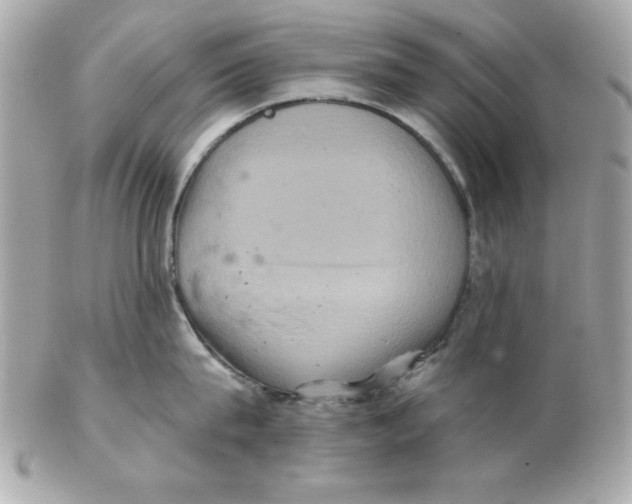 X0000102540815200808291840