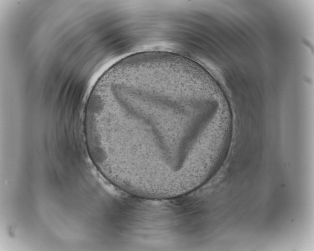 X0000102540816200808291840