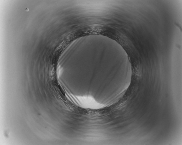 X0000102540818200808291840