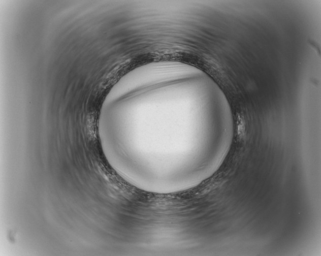 X0000102540819200808291840