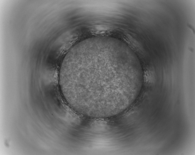 X0000102540820200808291840