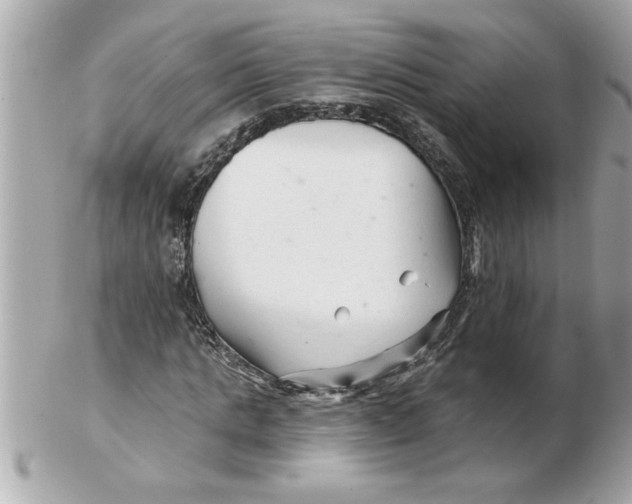 X0000102540821200808291840