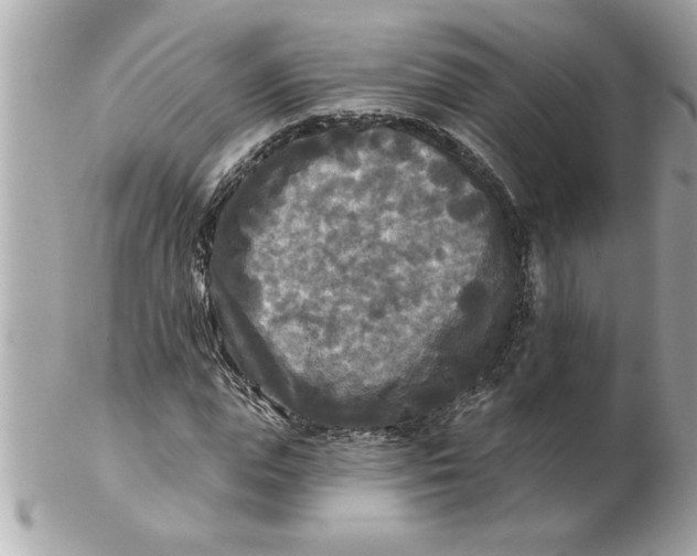 X0000102540823200808291840