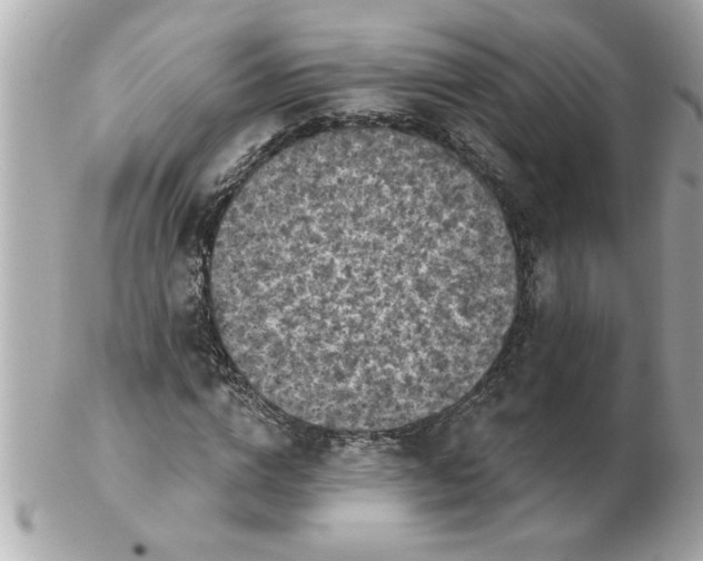 X0000102540824200808291840