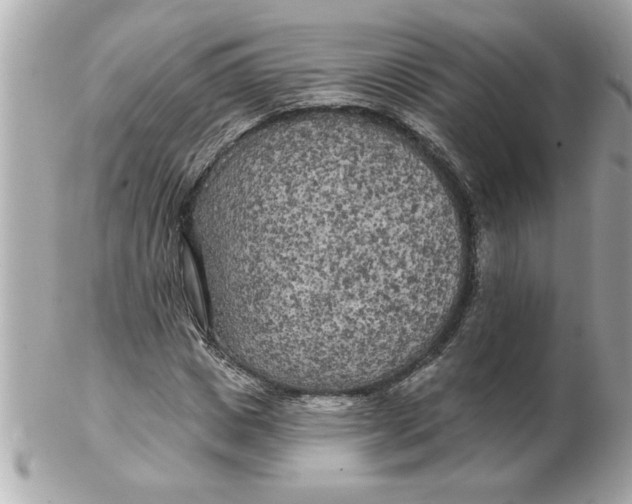 X0000102540825200808291840