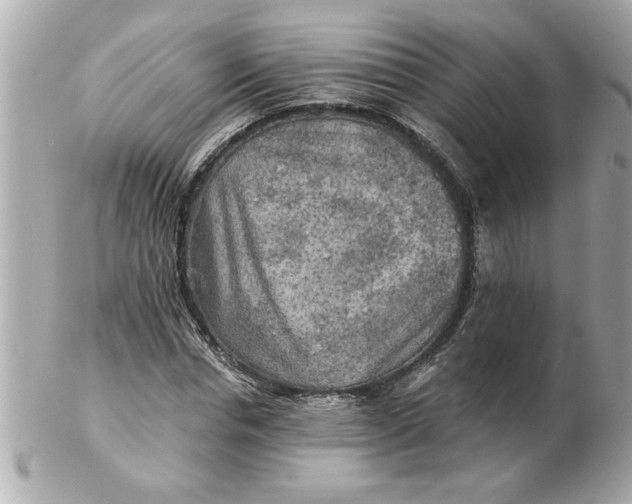 X0000102540826200808291840